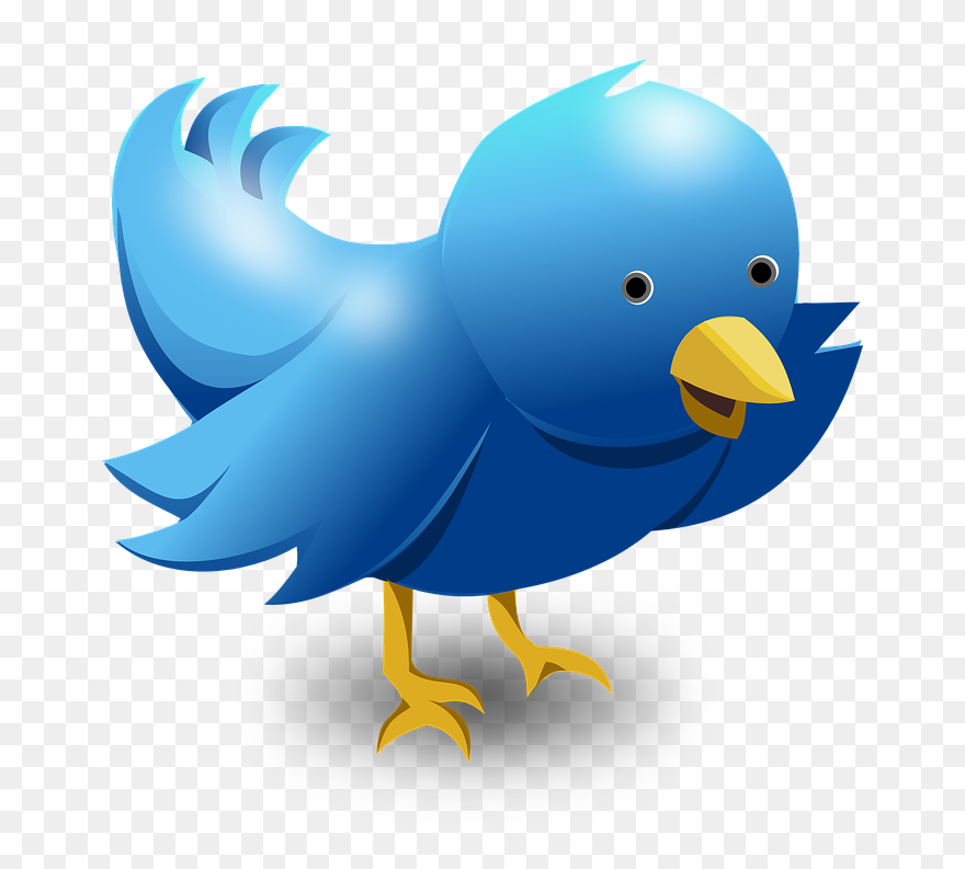 Little Blue Bird - Bird Twitter Logo 3d Clipart