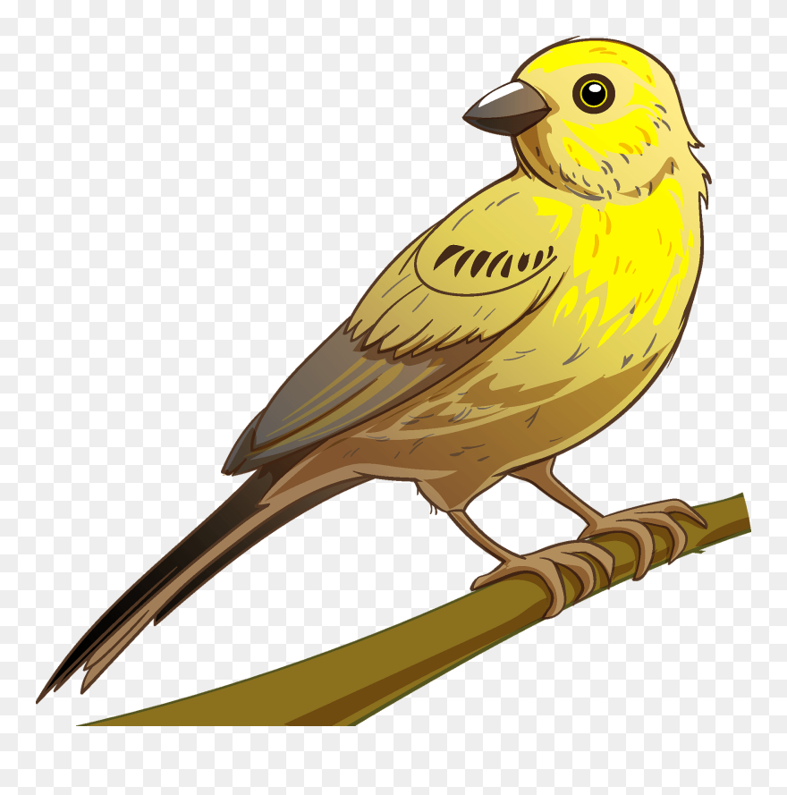 Emberizidae Clipart
