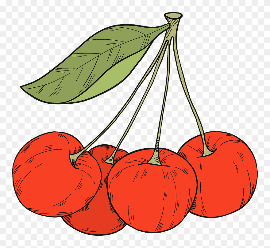 Cherries Clipart - Png Download