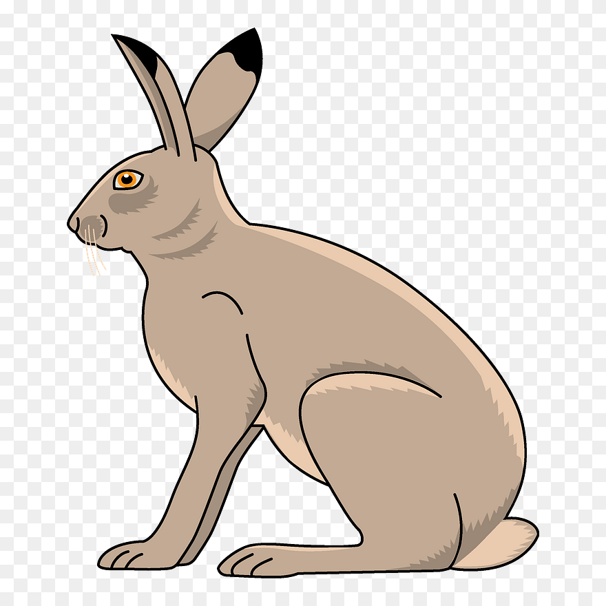 Free Download - Hare Clipart - Png Download