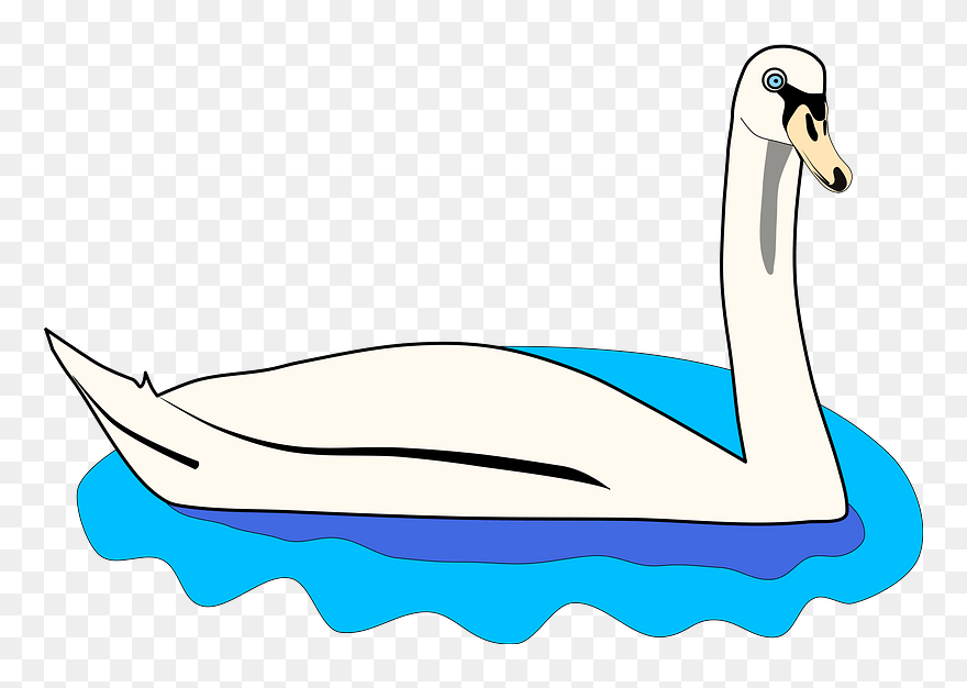 Swan Clipart - Clipart Of A Swan - Png Download