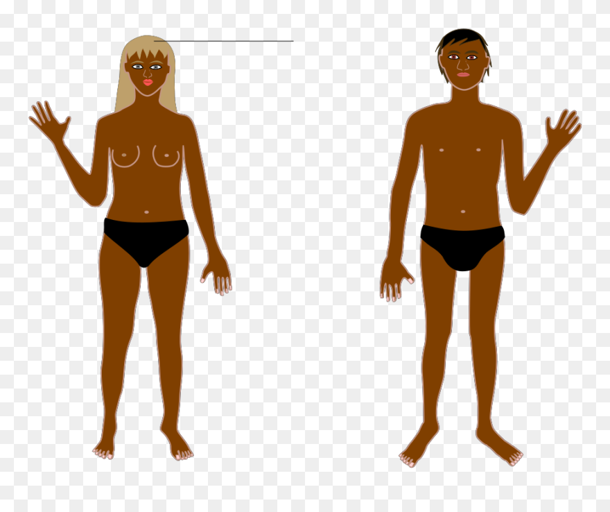 Human Body Clipart
