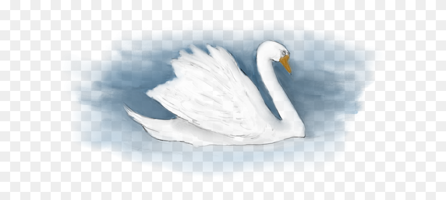 Tundra Swan Clipart