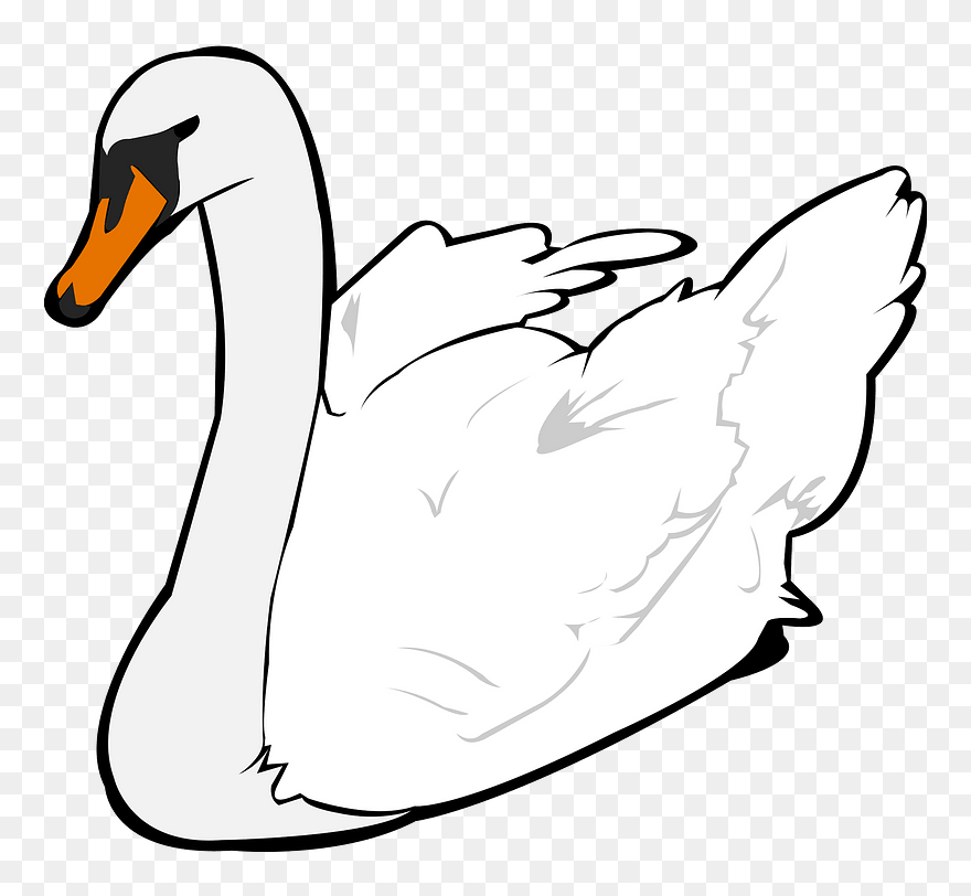 Swan Bird Clipart - Duck - Png Download