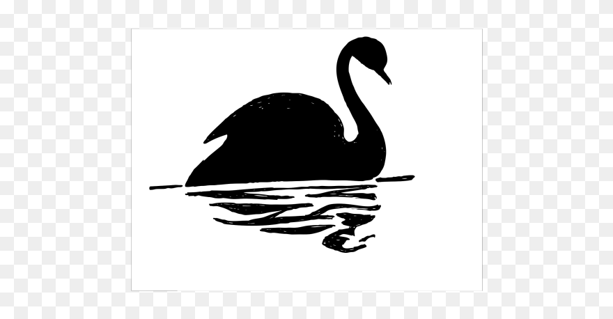 Black Swan Black And White Clipart