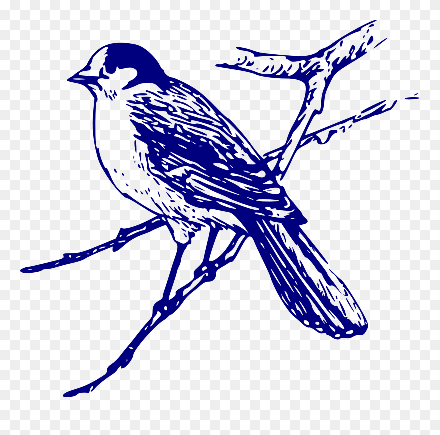 Blue Bird Line Drawing Clipart