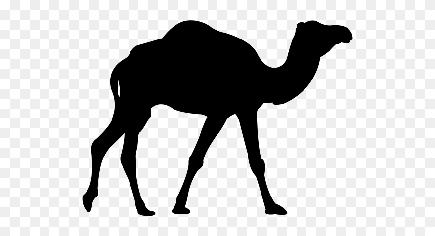 Prague Travel Guide - Camel Icon Png Clipart