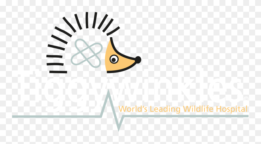 Tiggywinkles - Barnsley Hospital Nhs Foundation Trust Clipart