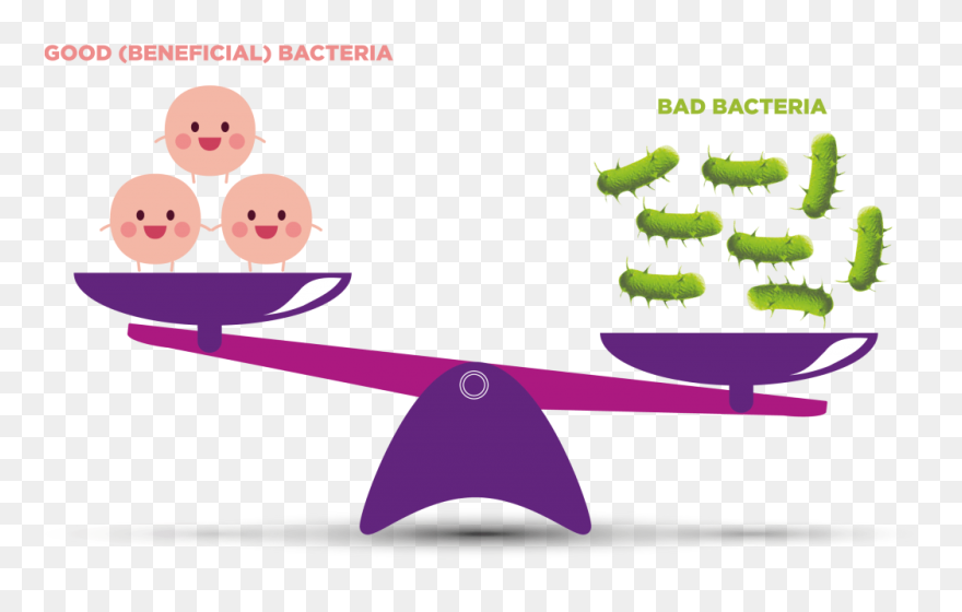 Good Bacteria Vs Bad Bacteria - Bacteria Good And Bad Png Clipart