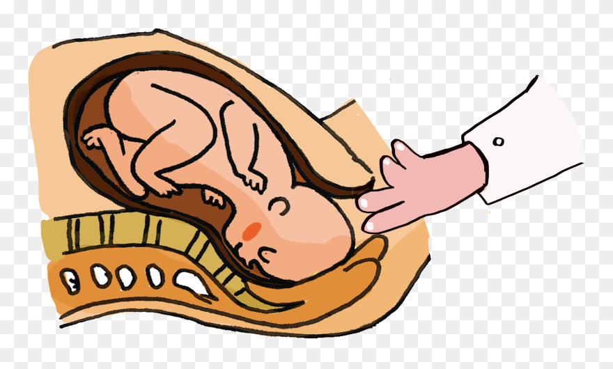 Tacto Vaginal Clipart