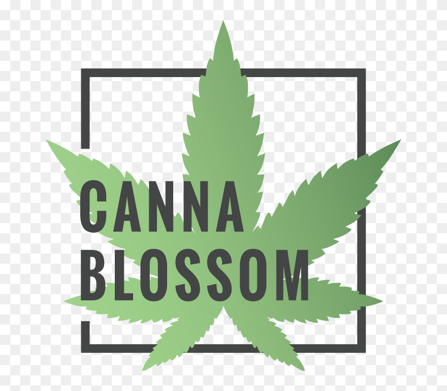 Use Coupon Code At Cart Page Coupon Code For Canna Blossom Clipart