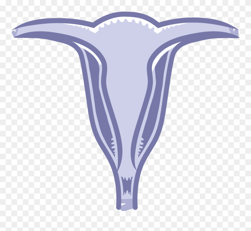 Illustration Clipart