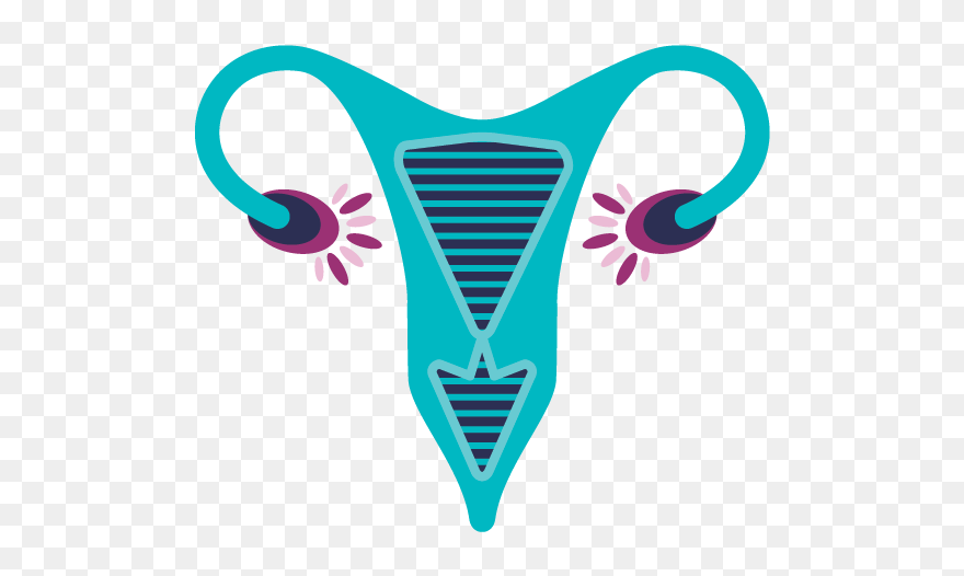 Gynaecology Png Clipart