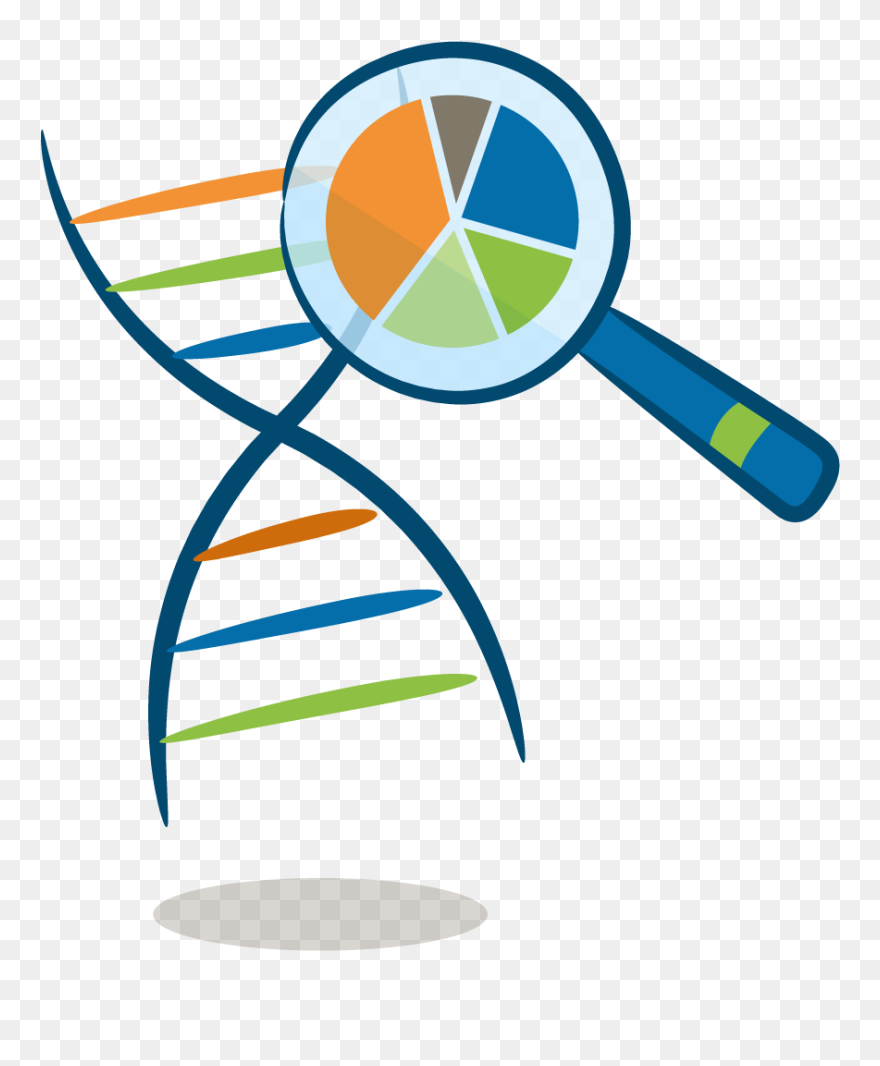 Transparent Dna Family History - Ancestry Testing Clipart