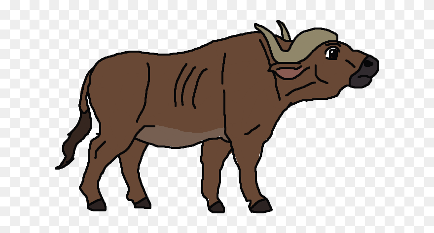 Buffalo Clipart Png 871394 - African Buffalo Clipart Transparent Png