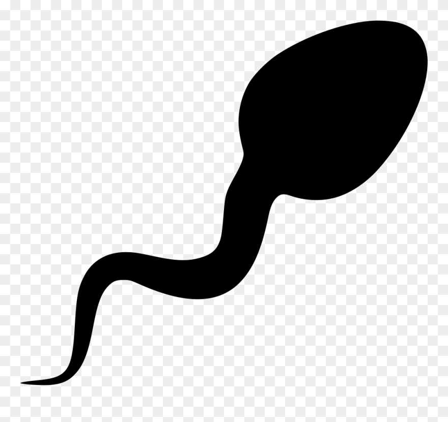Sperm Vector Svg Transparent & Png Clipart Free Download - Sperm Clipart Png