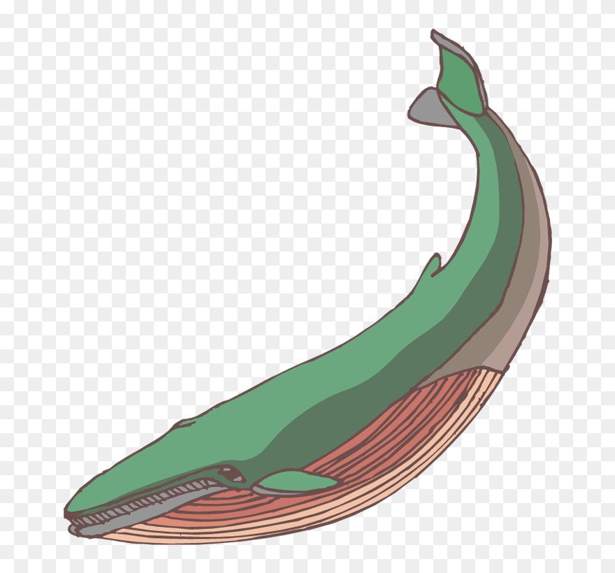 Free Whale Clipart - Clip Art - Png Download