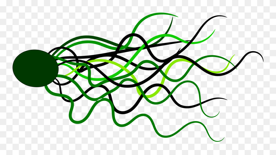 Flowing Lines Vector Image - Garis Png Clipart