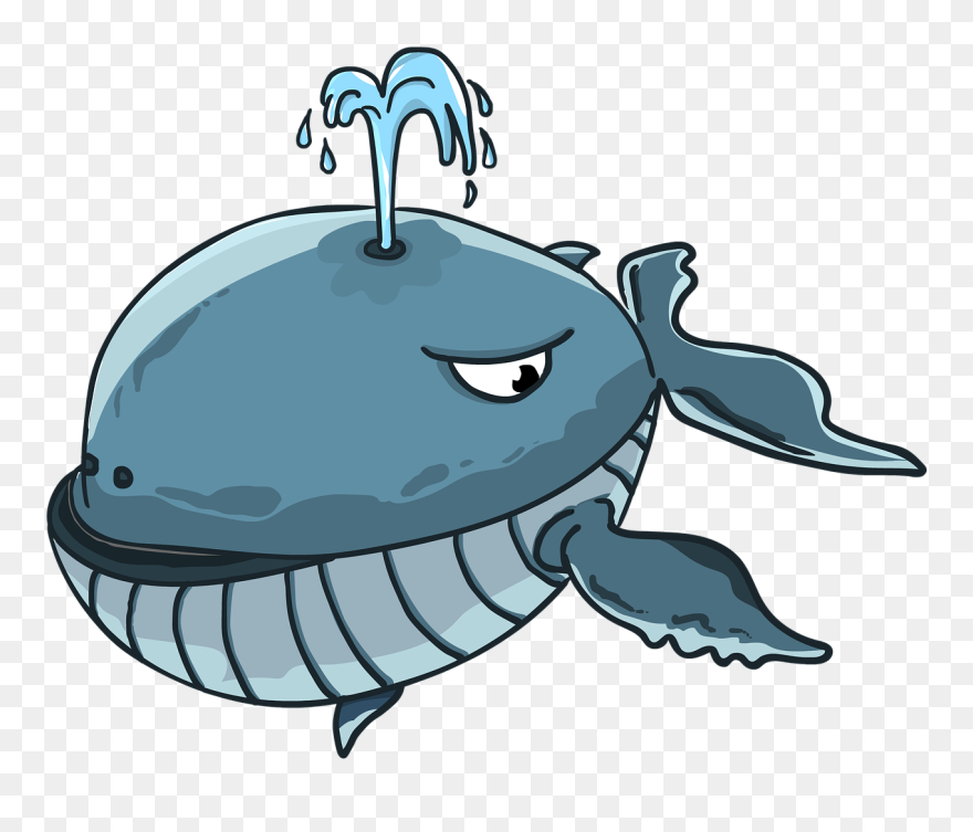 Transparent Whale Clip Art - Whale Spout Animation - Png Download