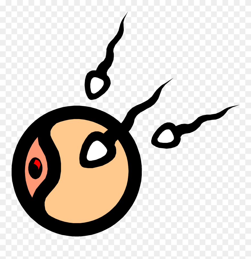 Sperm Clipart - Png Download