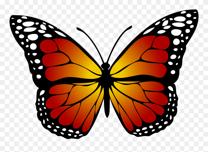 Monarch Butterfly Clipart Brown - Butterfly Picture For Kids - Png Download