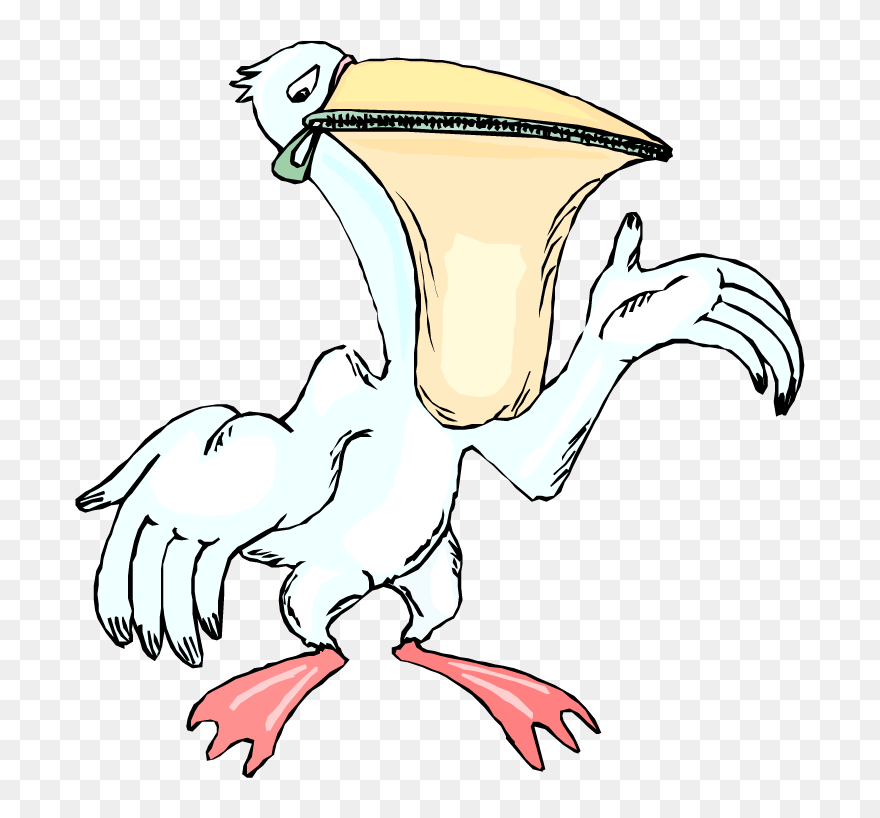 Dessin Pelican Clipart