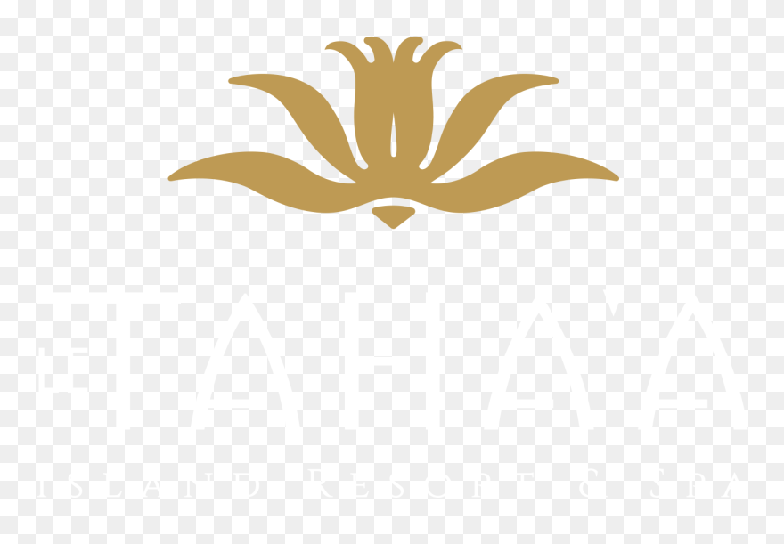 Illustration Clipart