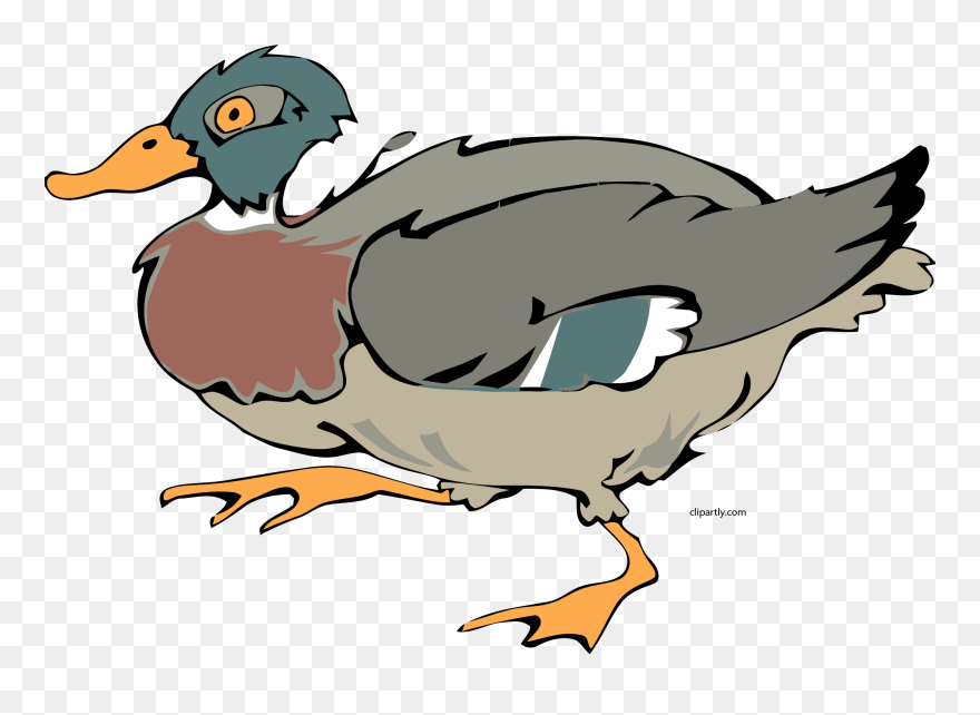 Night Duck Clipart Png - Clip Art Transparent Png