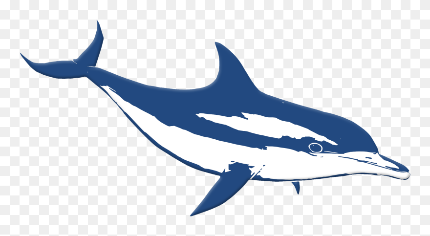 Fwb Water Sports Clipart