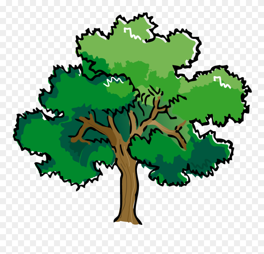 Transparent Blt Clipart - Transparent Background Oak Tree Clipart - Png Download