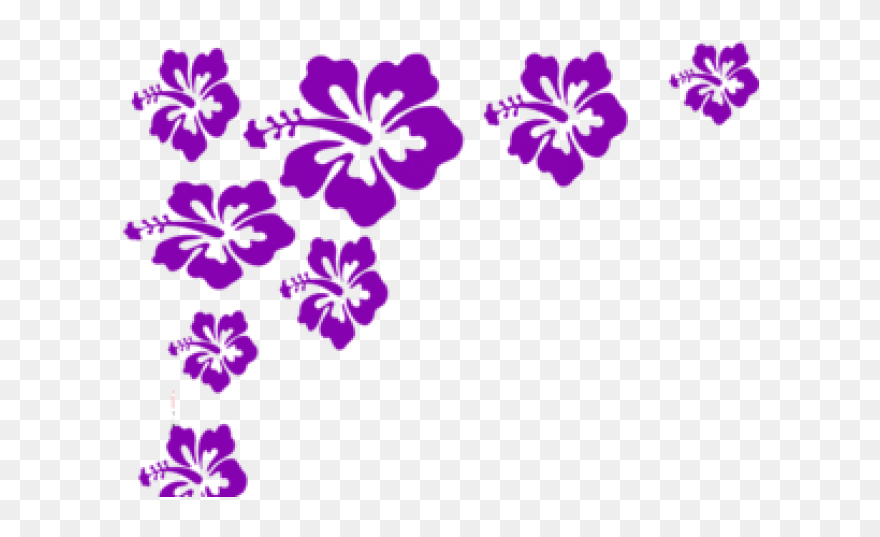 Hibiscus Clip Art Purple Border - Png Download