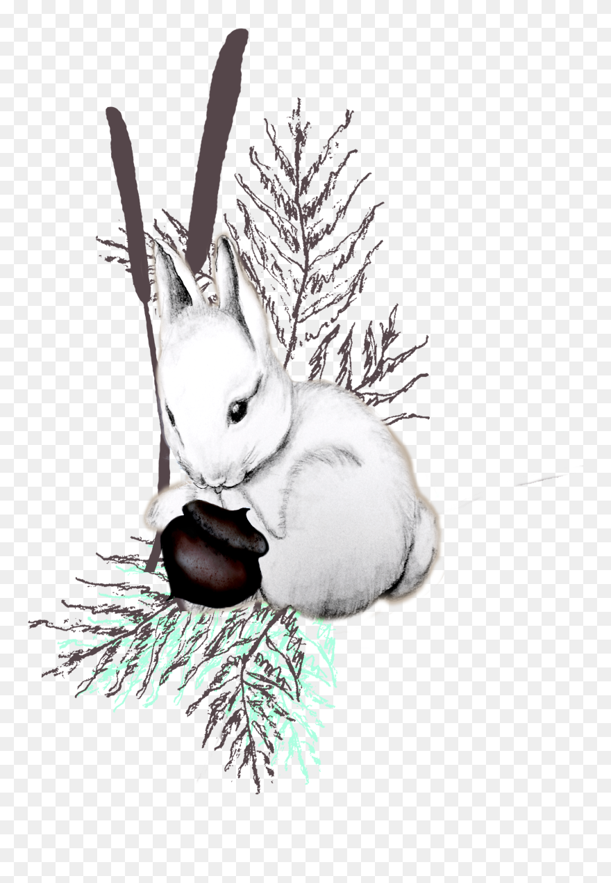 Vintage Style White Bunny In Nature Perfect For A Kids - Illustration Clipart