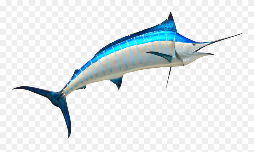 Marlin Clipart Logo - Fish Png Transparent Png