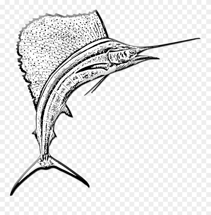 Ikan Pedang Marlin Clipart