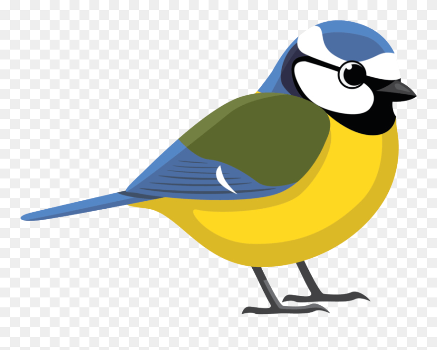 Blue-tit2 - Blue Tit Clip Art - Png Download