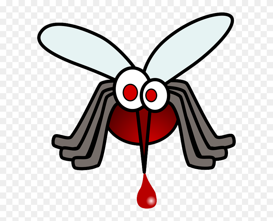 Cartoon Mosquito - Mosquito Clip Art - Png Download