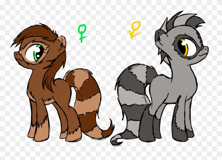 Pony Raccoon Hybrids By Dropdeadthendance On - Horse Clipart