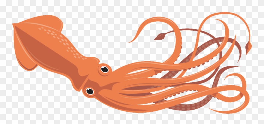 Vbs « Fletcher First Baptist Church - Giant Squid Clip Art - Png Download