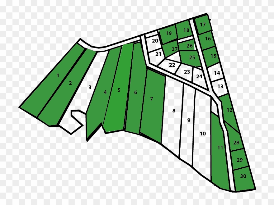 Illustration Clipart