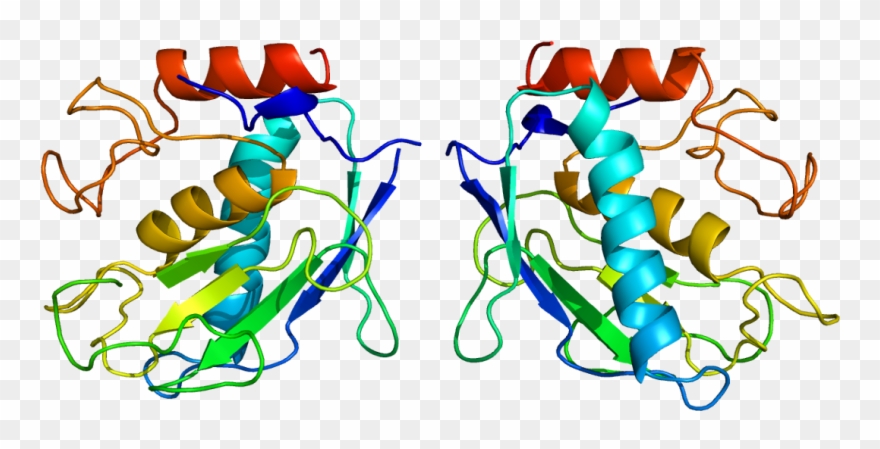 Mmp Protein Clipart