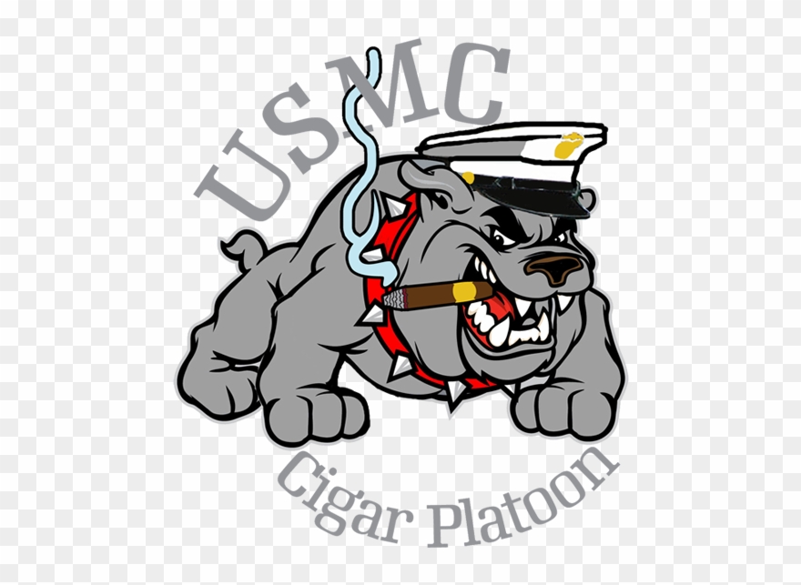 Usmc Drawing Bulldog Clip Library Download - Usmc Bulldog With Cigar - Png Download