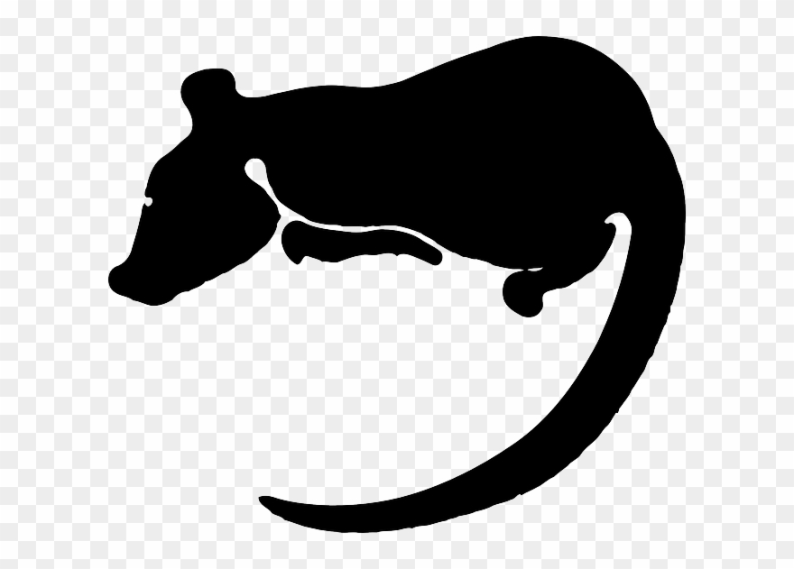 Free Pictures Rat - Rat Clip Art - Png Download