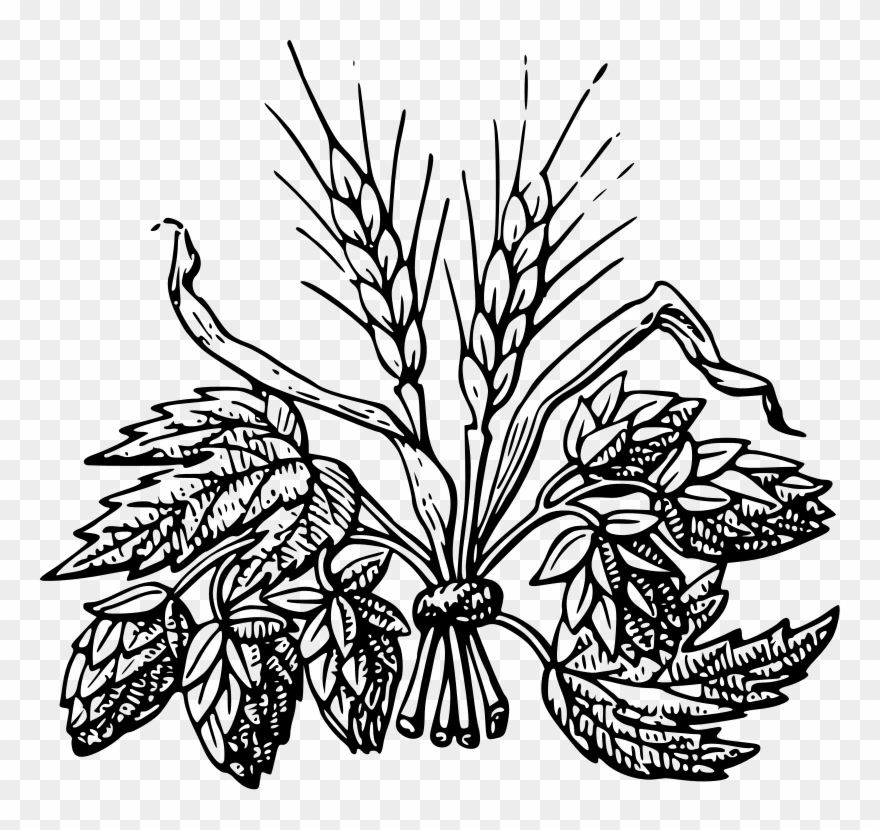 Barley Hop Clipart