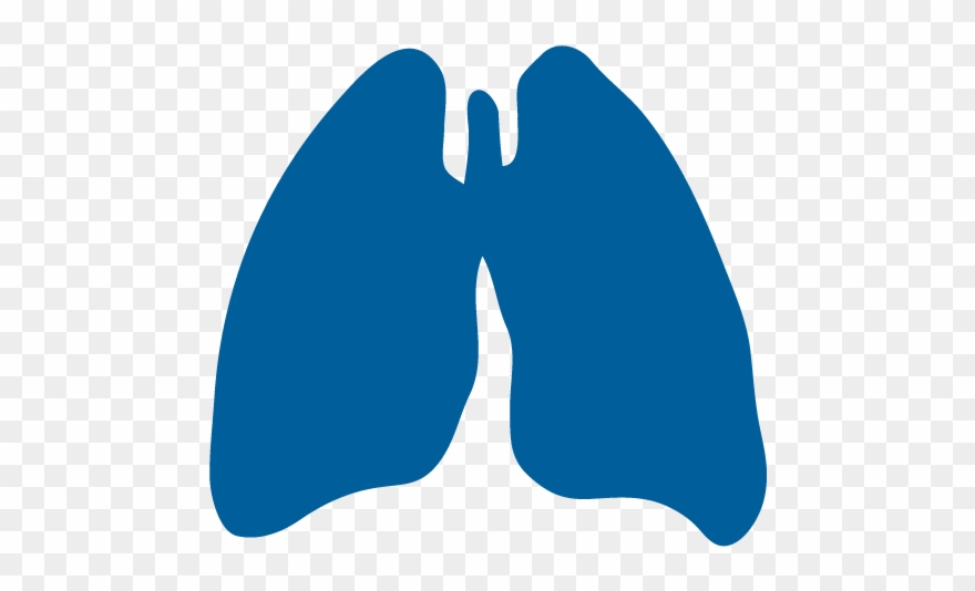 Precision Laboratory Instruments For Pulmonary Research Clipart