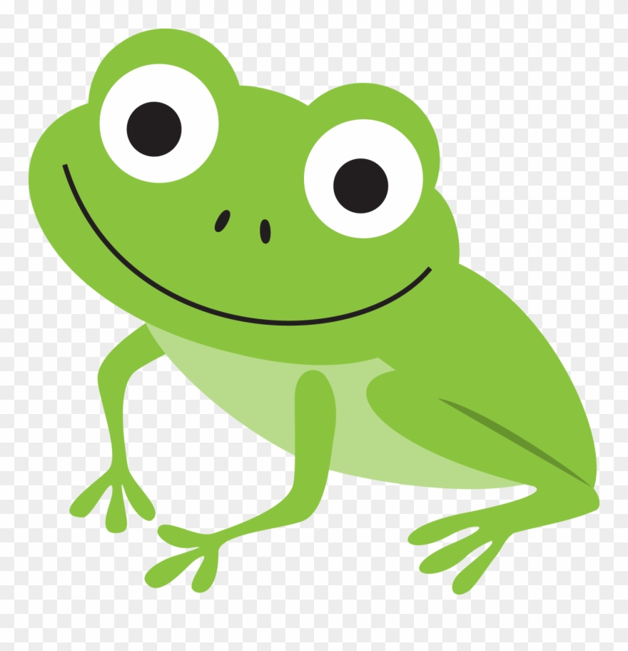 B *✿* Frog Illustration, Pond Life, Green Frog, Frogs - Cute Frog Clip Art - Png Download