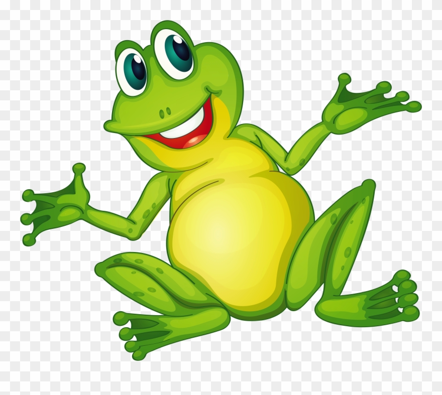 Amphibians Drawing Glass Frog Image Freeuse - Imagenes De Sapos Animados Clipart