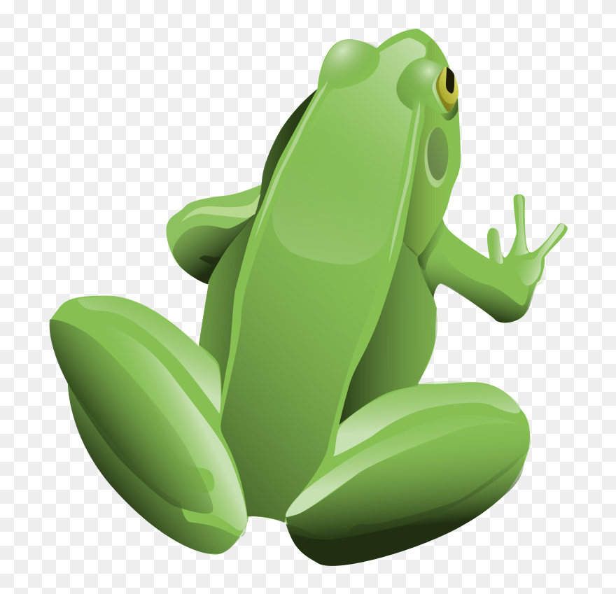 Tree Frog Download Computer Icons Lithobates Clamitans - Green Frog Shower Curtain Clipart