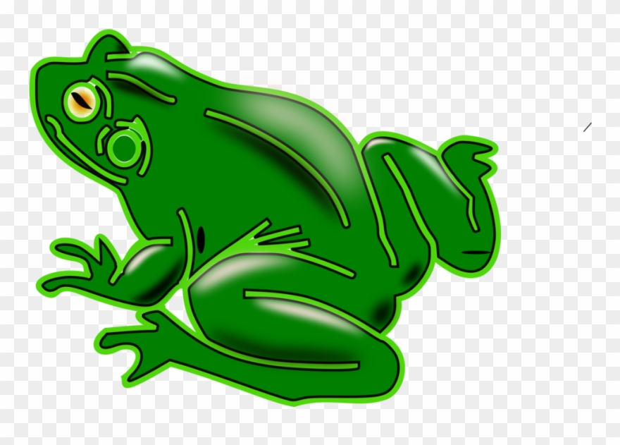 Pond Frogs Amphibian Vertebrate American Green Tree - Rana Png Clipart