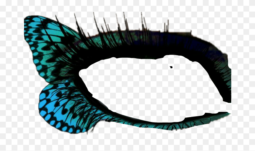 Report Abuse - Butterflies That Look Like Eyes Clipart