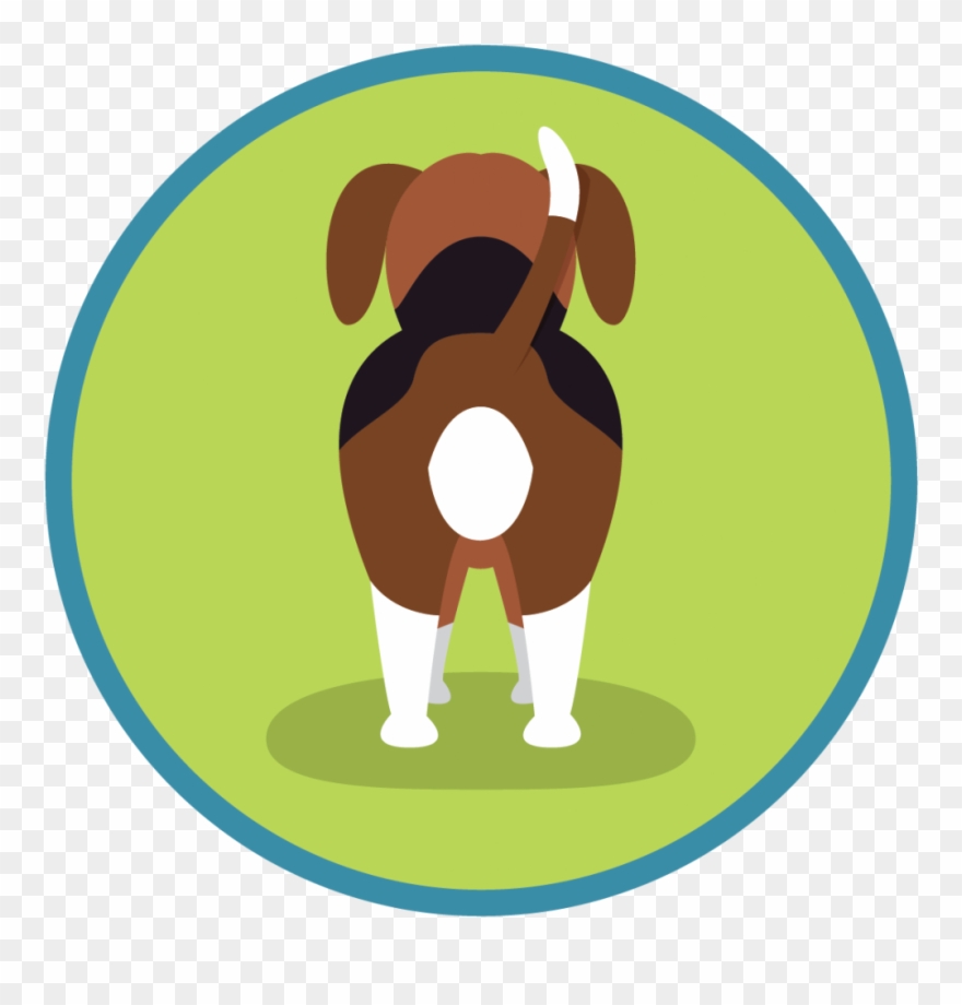 Fireworks And Dogs Dealing With Anxiety This Bonfire - University Of North Alabama Clipart